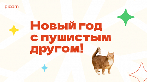 Для тех, у кого лапки: завершился наш проект помощи бездомным животным